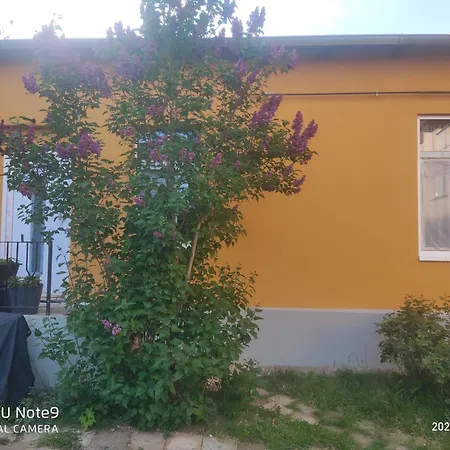 Mit Garten Zentrumsnah Апартаменты *